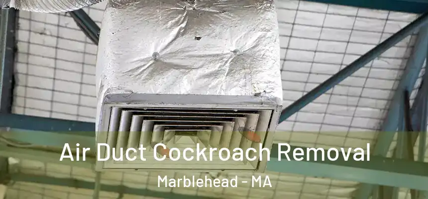 Air Duct Cockroach Removal Marblehead - MA