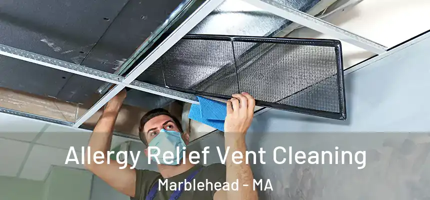 Allergy Relief Vent Cleaning Marblehead - MA