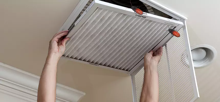 Our Insect Removal from Air Ducts Services in Marblehead, MA
