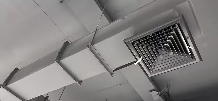 Our Rodent Droppings In Vents Services in Marblehead, MA