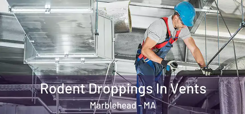  Rodent Droppings In Vents Marblehead - MA
