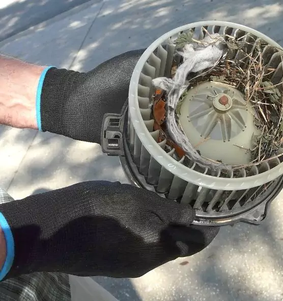 About Air Duct Rat Removal in Marblehead, MA