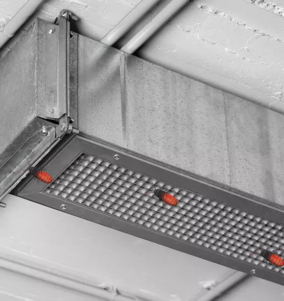 Affordable Insect Removal from Air Ducts in Marblehead, MA