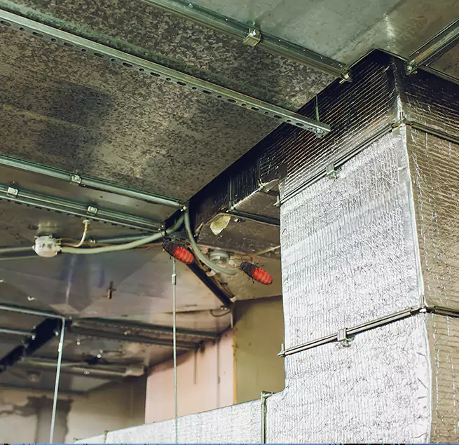 Why Homeowners & Businesses Trust Us in Marblehead, MA?