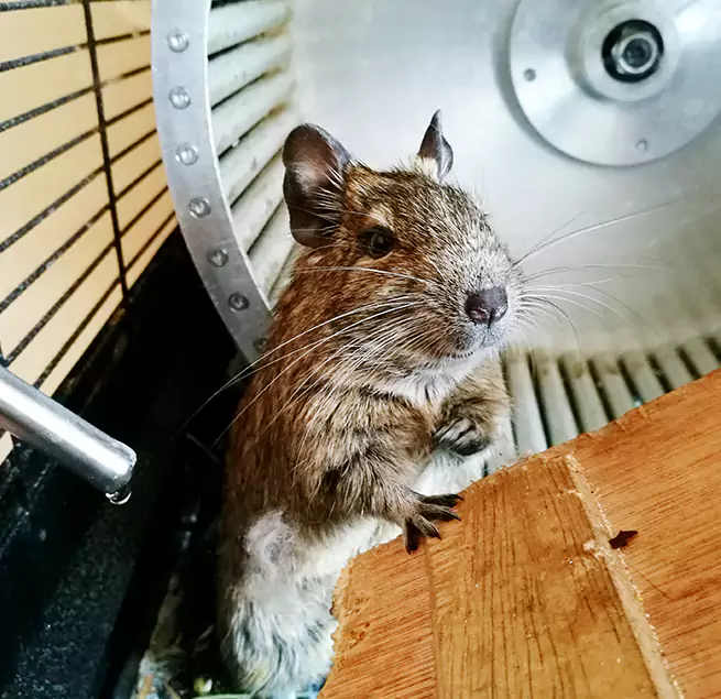 Why Homeowners & Businesses Trust Us Marblehead, MA?